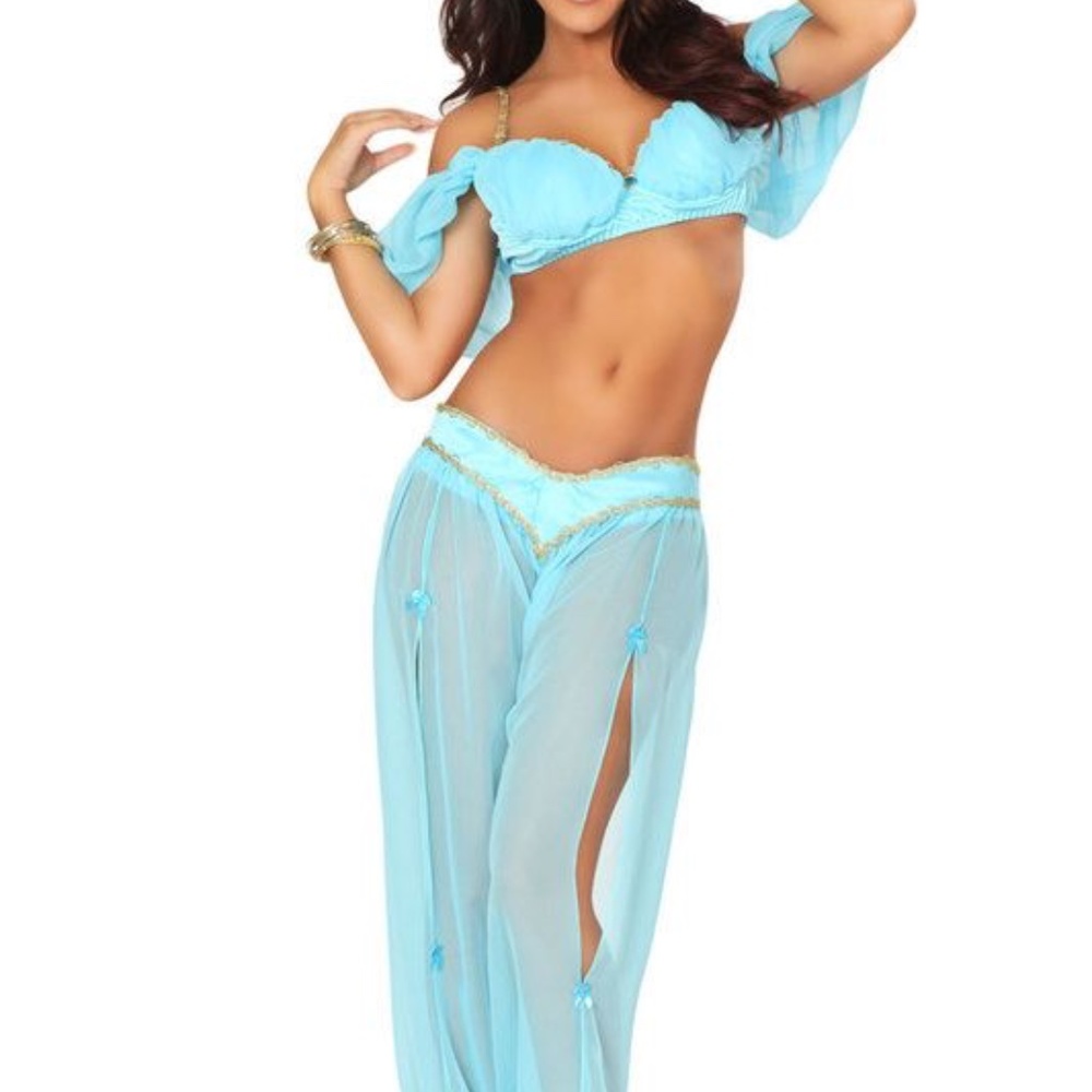 3 Wishes Sexy Princess Jasmine Costume Adult